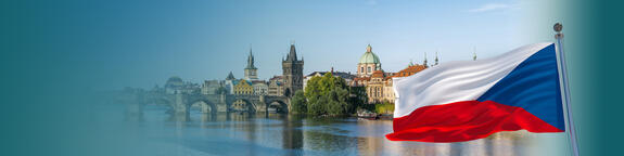 JRS Česká a Slovenská republika, org. složka